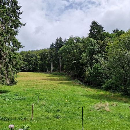 Bellavista Appartement Badenweiler Buitenkant foto