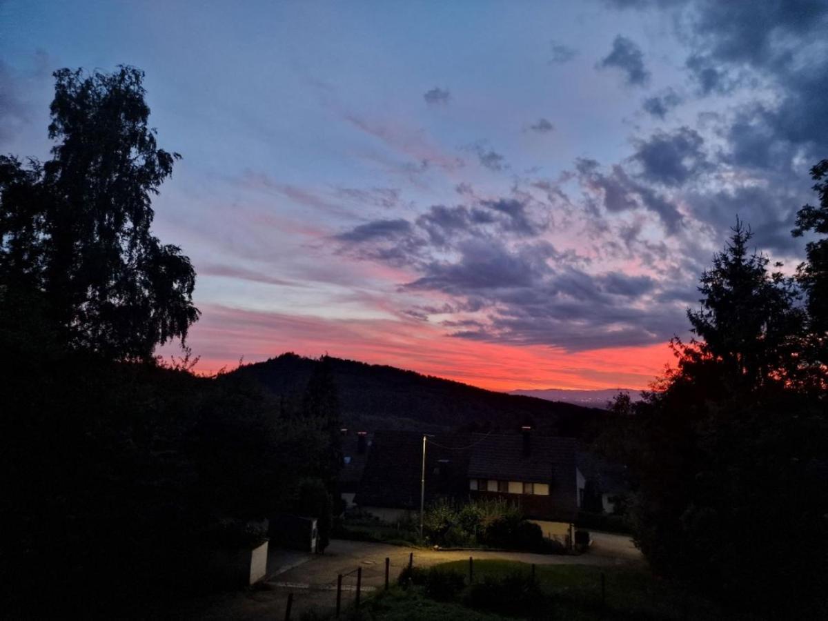 Bellavista Appartement Badenweiler Buitenkant foto